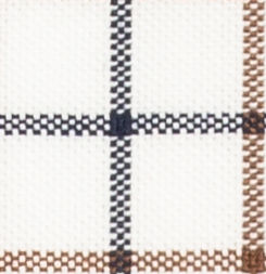 TR-3756750 Brown/Navy Windowpane Oxford