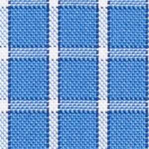TR-3756763 Blue Windowpane