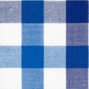 TR-3756779 Blue/Navy Check