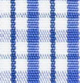 TR-3756783 Blue/Navy Check