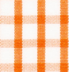 TR-3756791 Orange Check