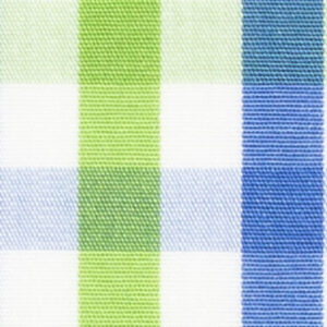 TR-3756795 Green/Blue Check