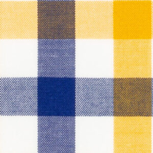 TR-3756797 Yellow/Navy Check