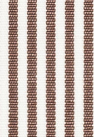 TR-3756807 Brown Bengel Stripe