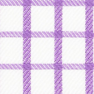 TR-3756815 Violet Shepards Check