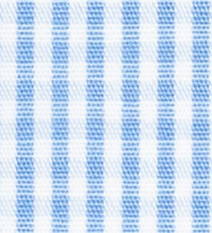 TR-3756816 Lt Blue Gingham Check