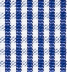 TR-3756817 Navy Gingham Check