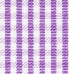 TR-3756819 Violet Gingham Check
