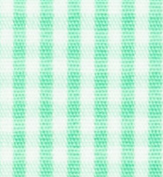 TR-3756820 Mint Gingham Check