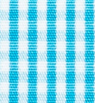 TR-3756821 Aqua Gingham Check