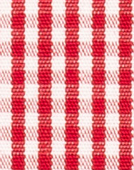 TR-3756822 Red Gingham Check