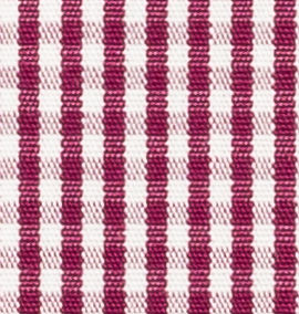 TR-3756823 Burgundy Gingham Check