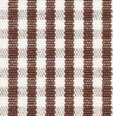 TR-3756824 Brown Gingham Check