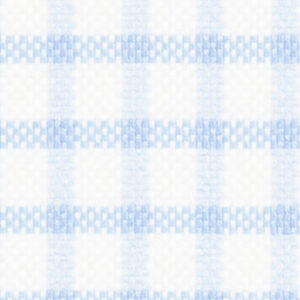 TR-3756861 Lt Blue Shepards Check
