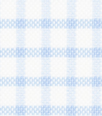 TR-3756861-SWATCH TR-3756861 Lt Blue Shepards Check