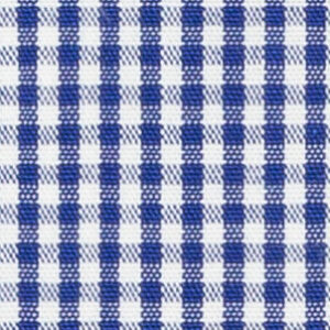 TR-3756982 Navy Gingham Check