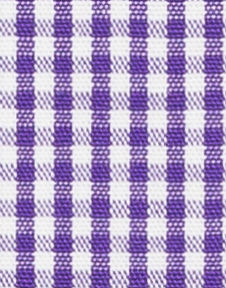 TR-3756984 Purple Gingham Check