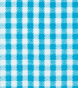 TR-3756985 Aqua Gingham Check