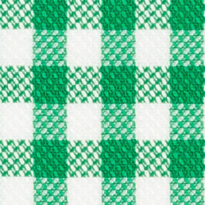 TR-3757009 Green Oxford Check