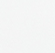 TR-3857891 White Satin Stretch