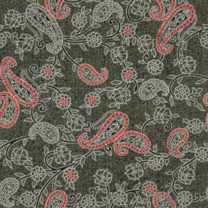 TR-3857919 Olive Red Paisley