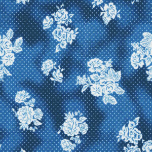 TR-3857925 Blue Dotted Fade