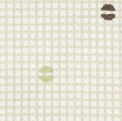 TR-3857939 Tan Circle Check