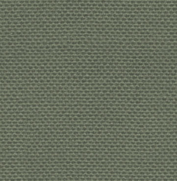 U2-3026321-SWATCH U2-3026321 Sage Solid